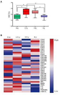 Comprehensive Transcriptome Analysis Reveals the Role of lncRNA in Fatty Acid Metabolism in the Longissimus Thoracis Muscle of Tibetan Sheep at Different Ages